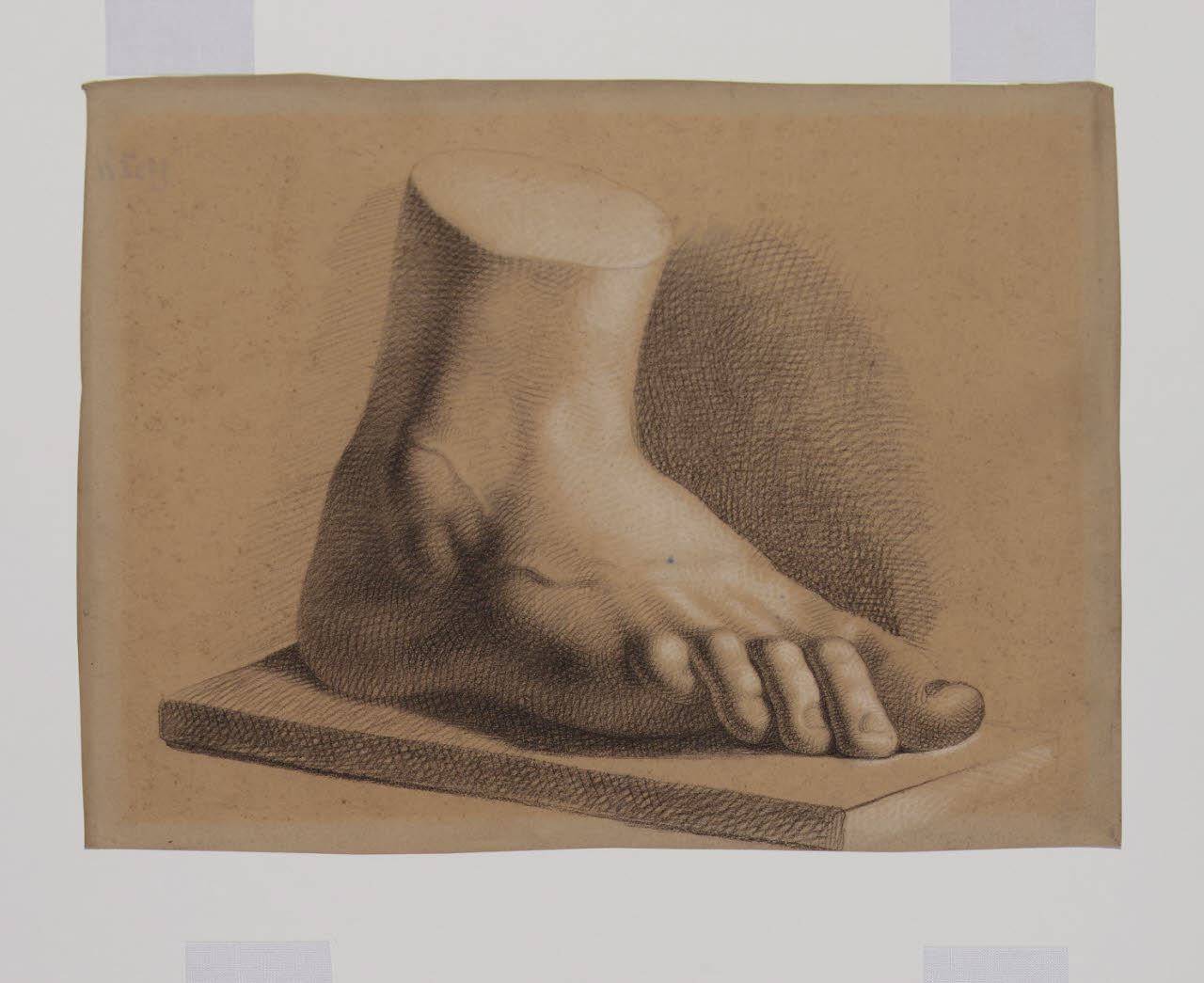 Piede (accademia), Piede (accademia) (disegno) - Anonimo (sec. XIX)