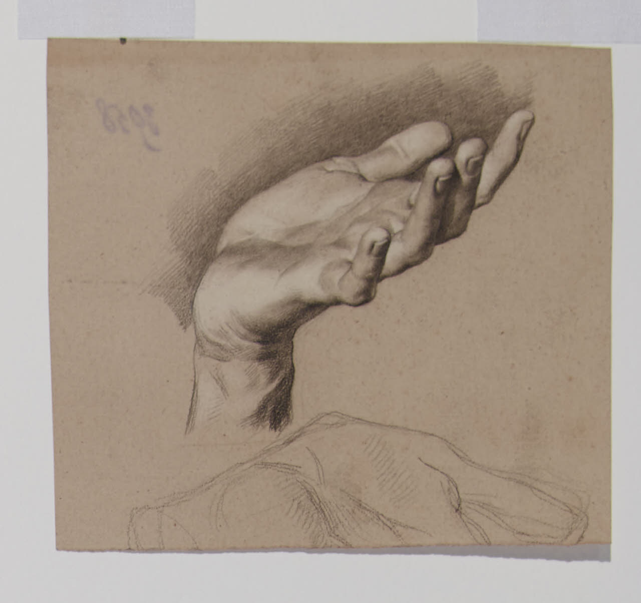 Mano (accademia), Mano (accademia) (disegno) - Anonimo (sec. XIX)