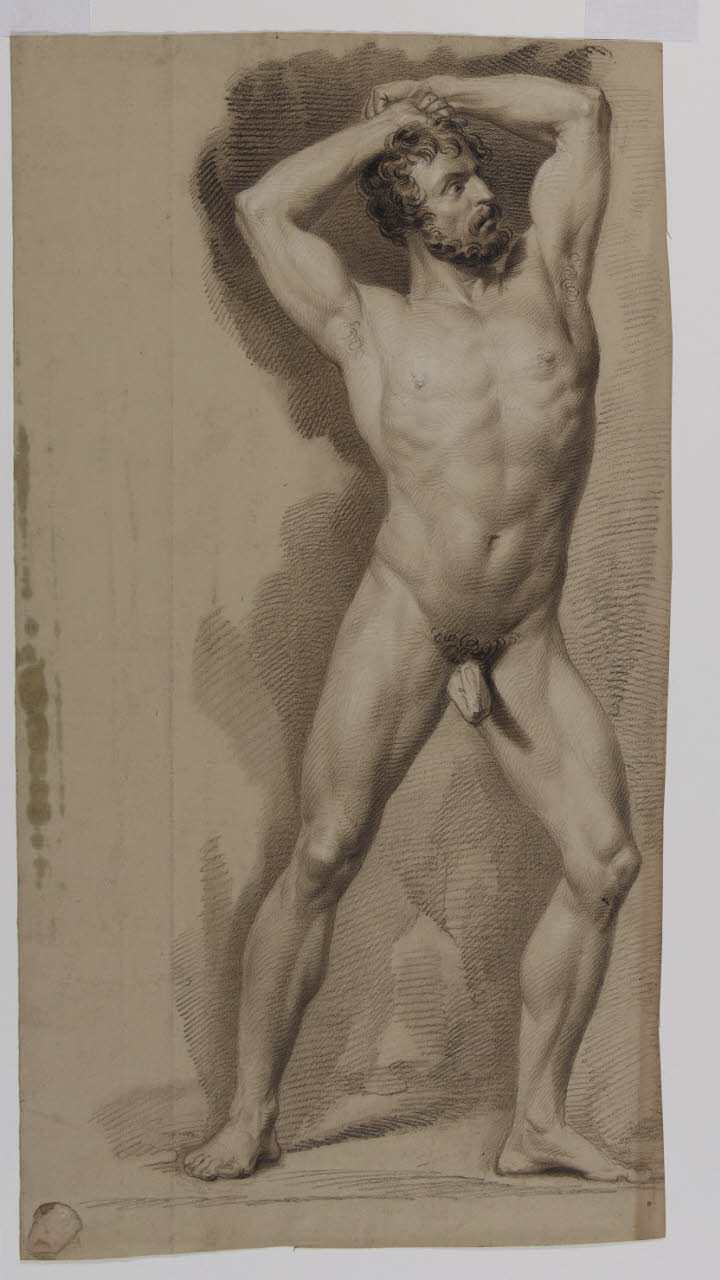 Nudo accademico, Nudo accademico (disegno) - Anonimo (sec. XIX)