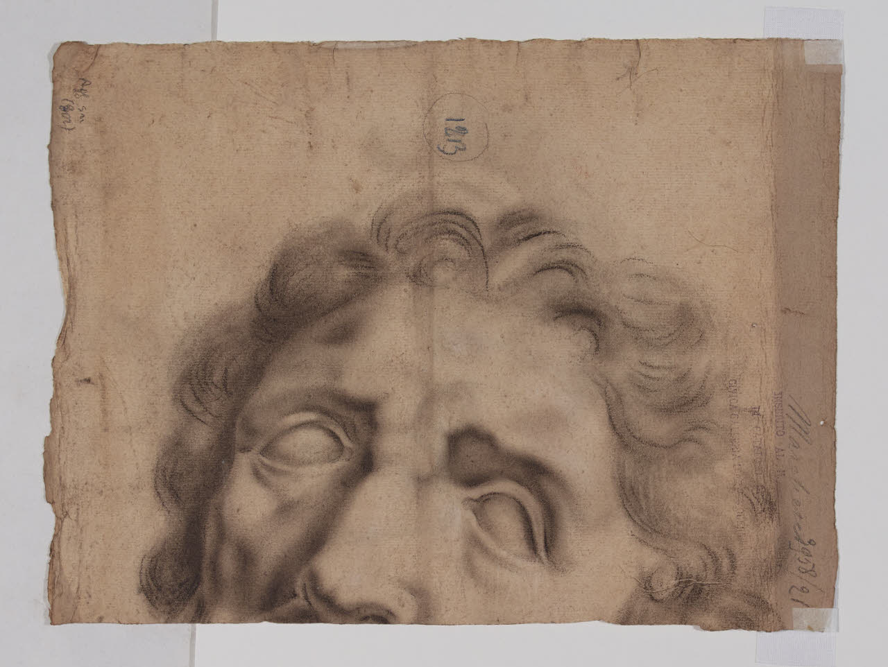 Testa accademica, Studio di testa (disegno) - Anonimo (sec. XIX)