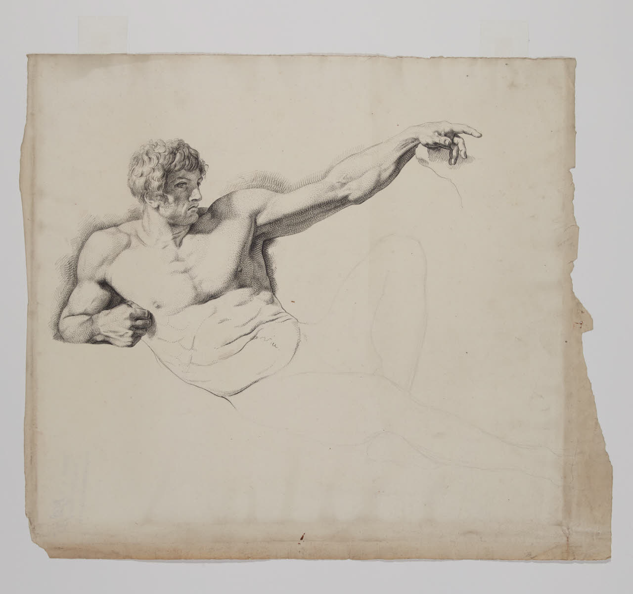 Nudo accademico (nella posa di Adamo nella Creazione di Adamo nella Cappella Sistina), Nudo accademico (disegno) - Anonimo (sec. XIX)