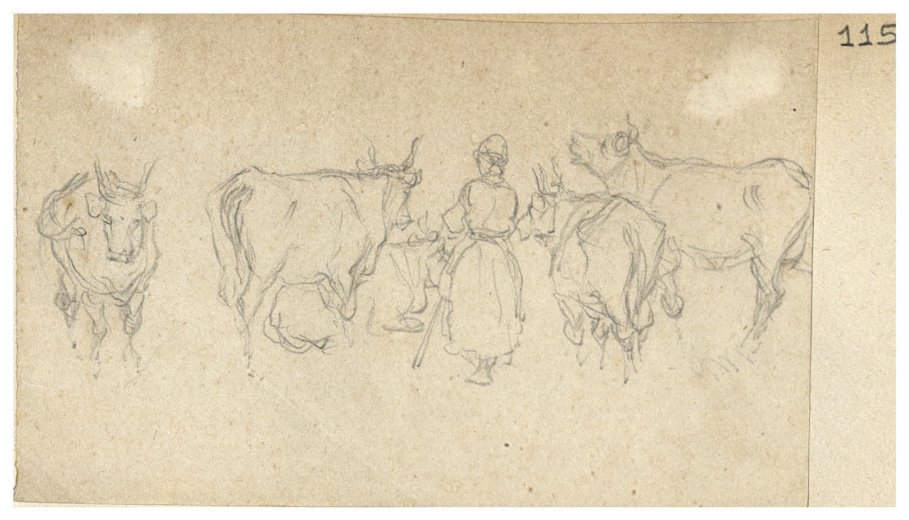 Contadina con bovini (disegno) di Bettinelli, Luigi (seconda metà sec. XIX)