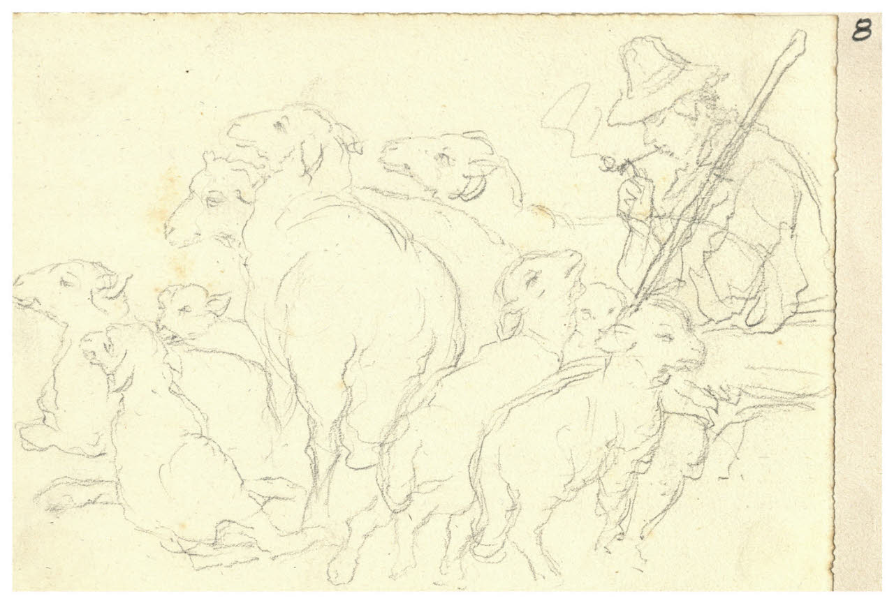 Pecore e pastore (disegno) di Bettinelli, Luigi (seconda metà sec. XIX)