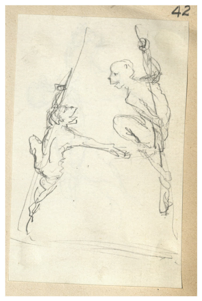 Abbozzi di scimmie (disegno) di Bettinelli, Luigi (seconda metà sec. XIX)