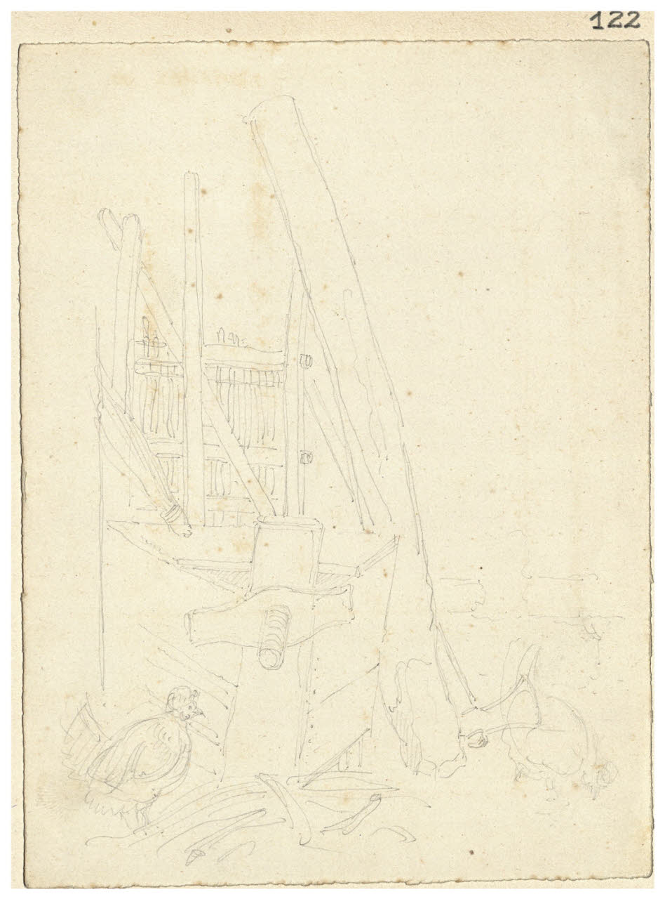 Interno di pollaio (?) (disegno) di Bettinelli, Luigi (seconda metà sec. XIX)