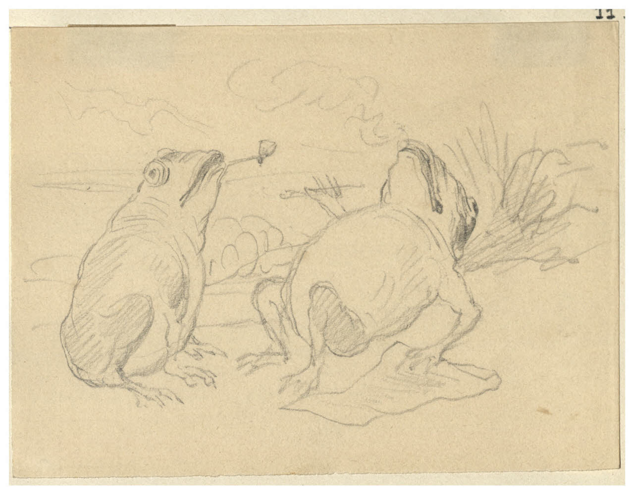 Vignetta caricaturale di rane che fumano e riposano (disegno) di Bettinelli, Luigi (seconda metà sec. XIX)