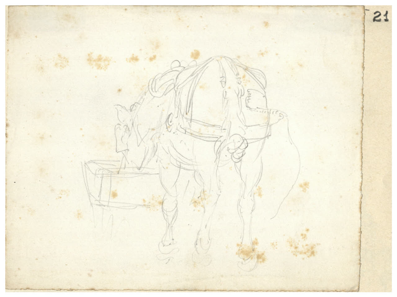 Cavallo all'abbeveratoio (disegno) di Bettinelli, Luigi (seconda metà sec. XIX)