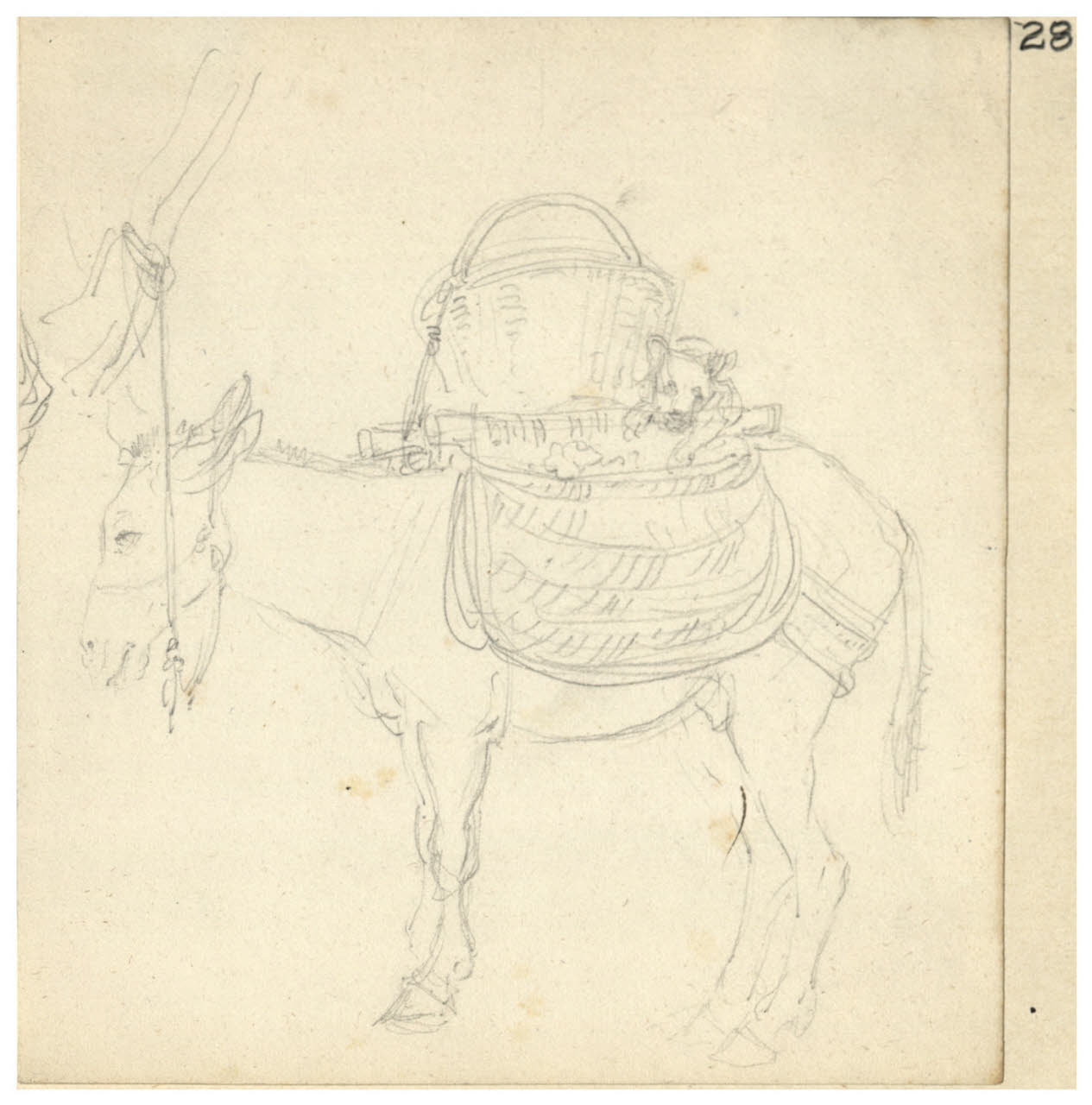 Somaro che trasporta ceste e un cagnolino (disegno) di Bettinelli, Luigi (seconda metà sec. XIX)