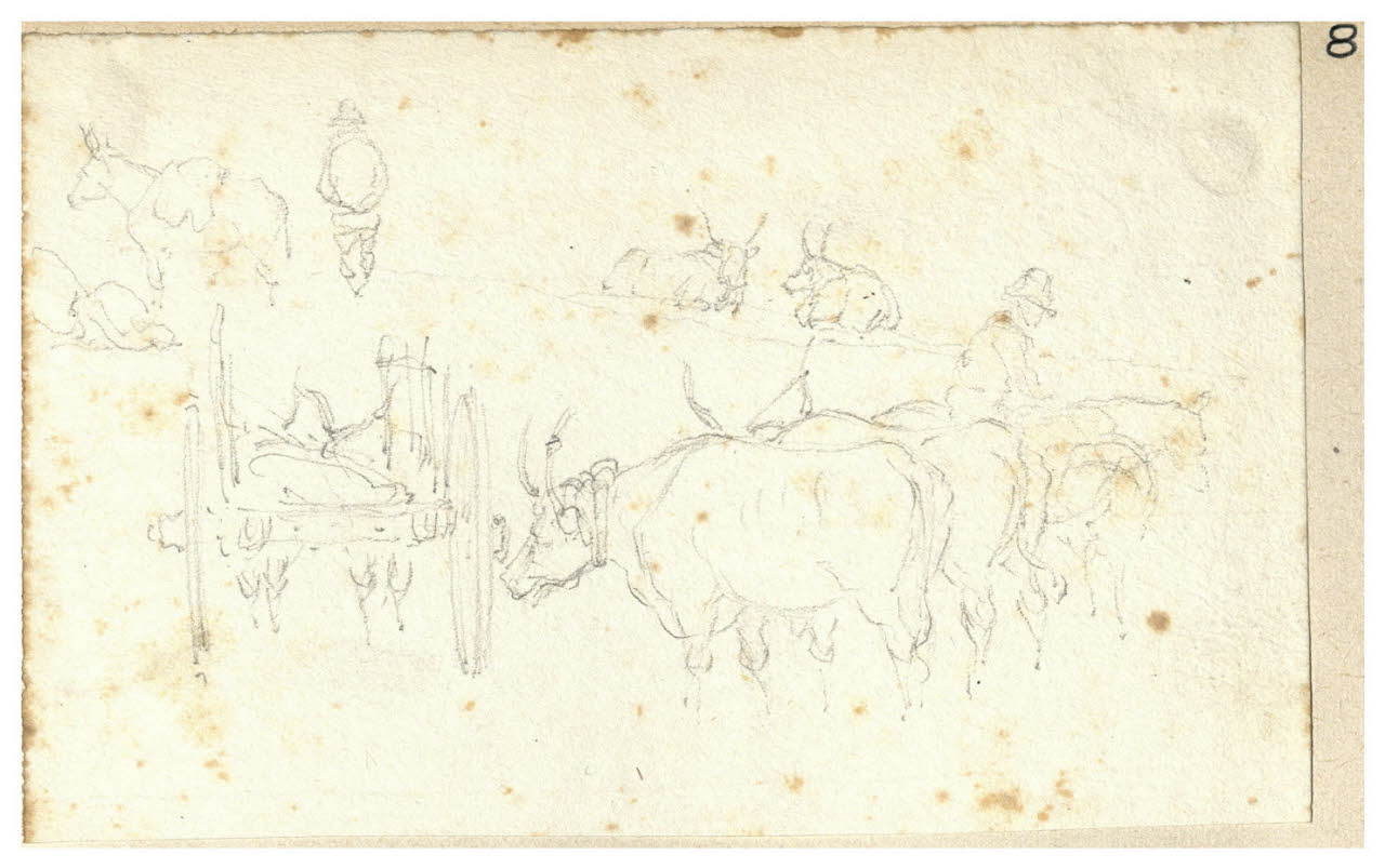 Bovini al pascolo (disegno) di Bettinelli, Luigi (seconda metà sec. XIX)