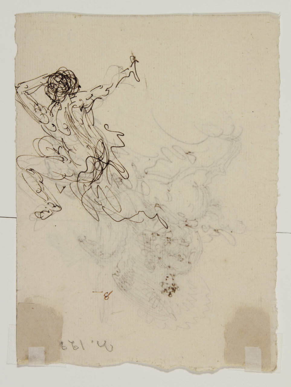 Abbozzo di nudo, Abbozzo di nudo (disegno) di Bison, Giuseppe Bernardino (secc. XVIII/ XIX)