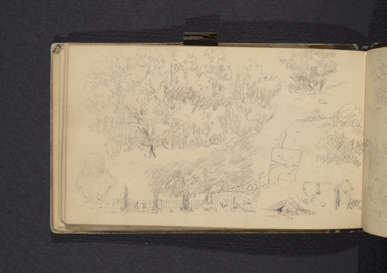 Album n. 1. Studio di alberi (disegno) di Canella, Giuseppe (prima metà sec. XIX)