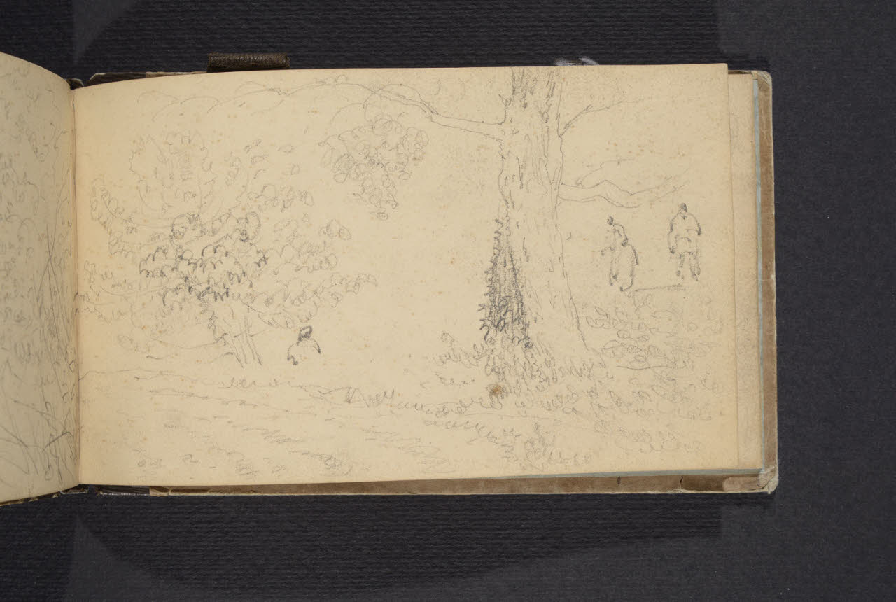 Album n. 1 (disegno) di Canella, Giuseppe (prima metà sec. XIX)