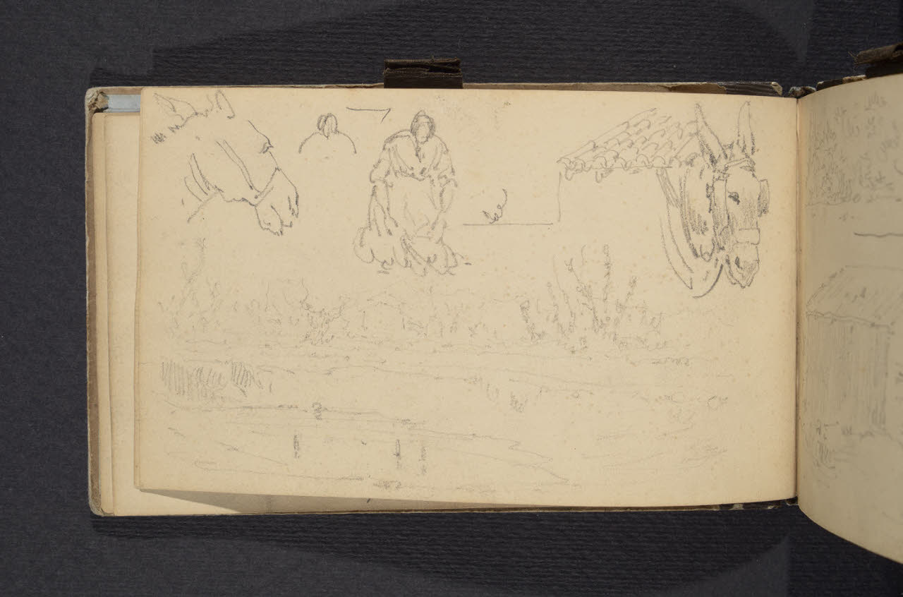 Album n. 1. Teste d'asino e lavandaia (disegno) di Canella, Giuseppe (prima metà sec. XIX)