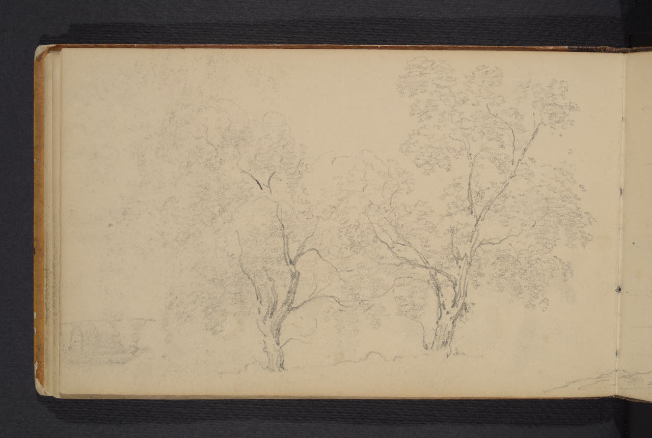 Album n. 3 - Lago di Como e di Lecco. Studio di alberi (disegno) di Canella, Giuseppe (prima metà sec. XIX)