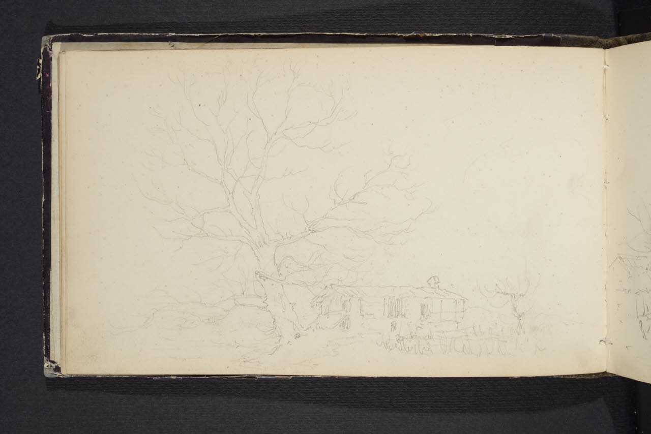 Album n. 4 (Ranco, Suna, Cannobio) (disegno) di Canella, Giuseppe (prima metà sec. XIX)