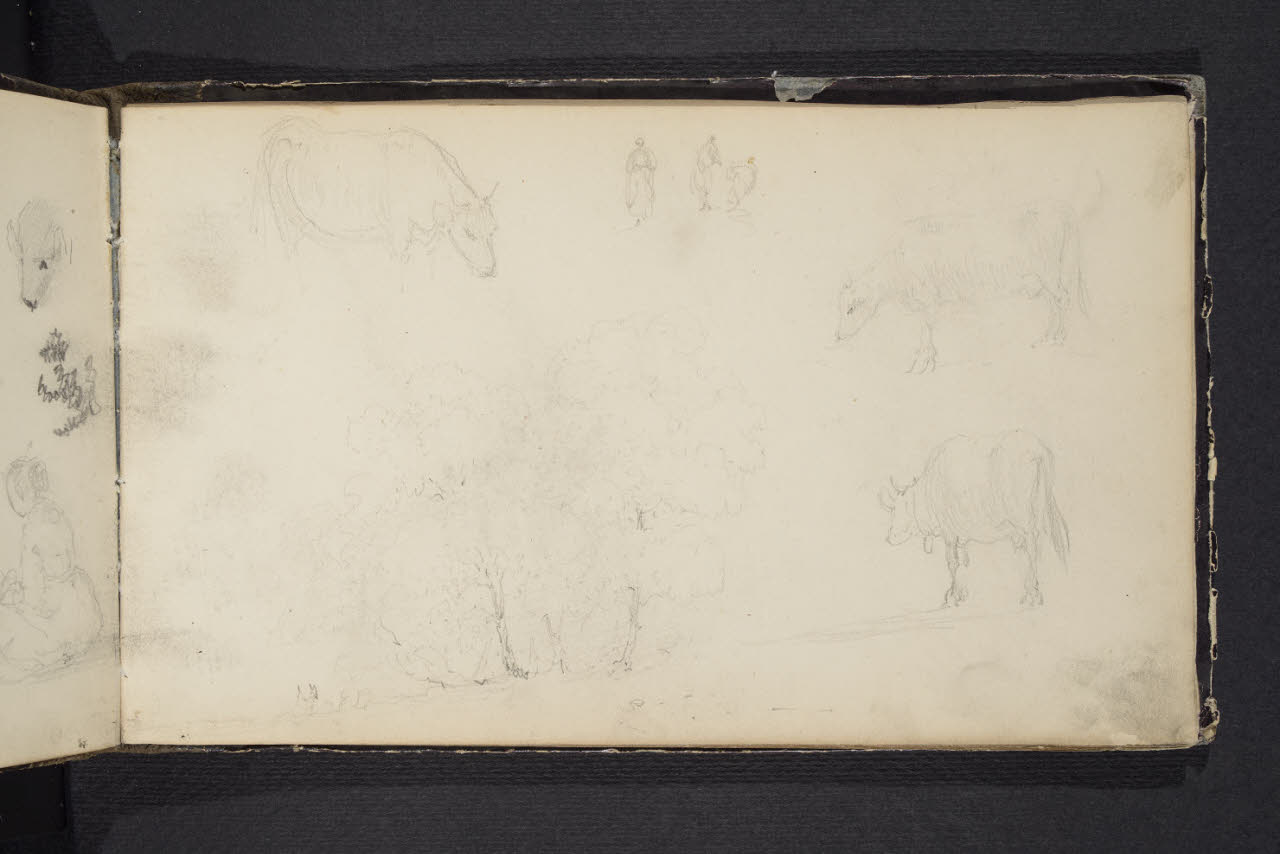 Album n. 4 (Ranco, Suna, Cannobio) (disegno) di Canella, Giuseppe (prima metà sec. XIX)