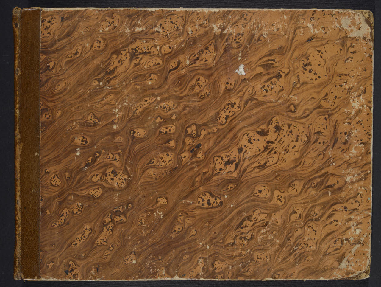 Album n. 9 - Livorno, Civitavecchia, Roma, Napoli (macchiette) (disegno) di Canella, Giuseppe (prima metà sec. XIX)