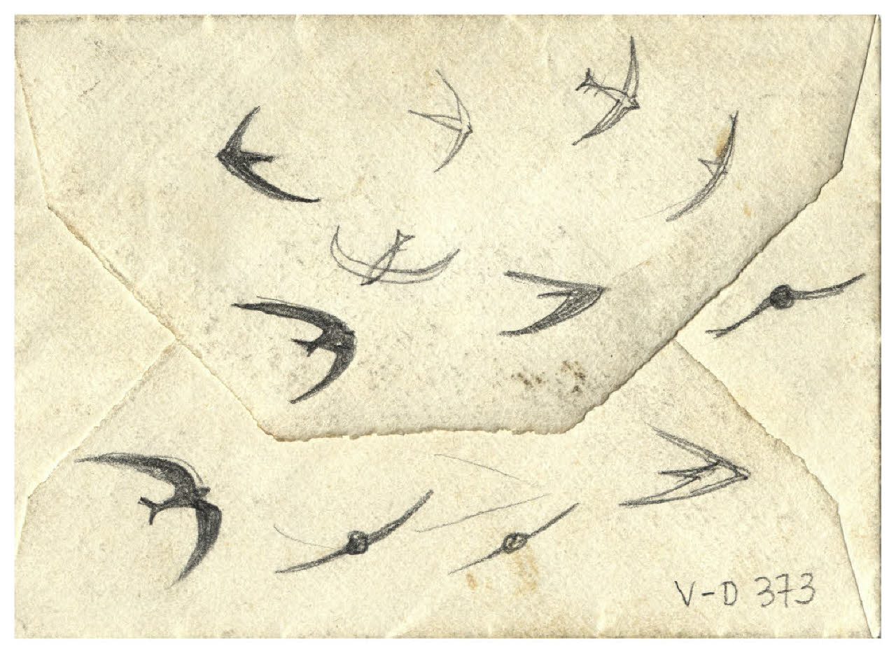 Rondini in volo (disegno) di Disertori, Benvenuto Maria (prima metà sec. XX)