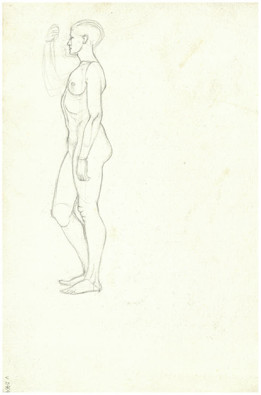 Nudo di profilo (disegno) di Disertori, Benvenuto Maria (prima metà sec. XX)