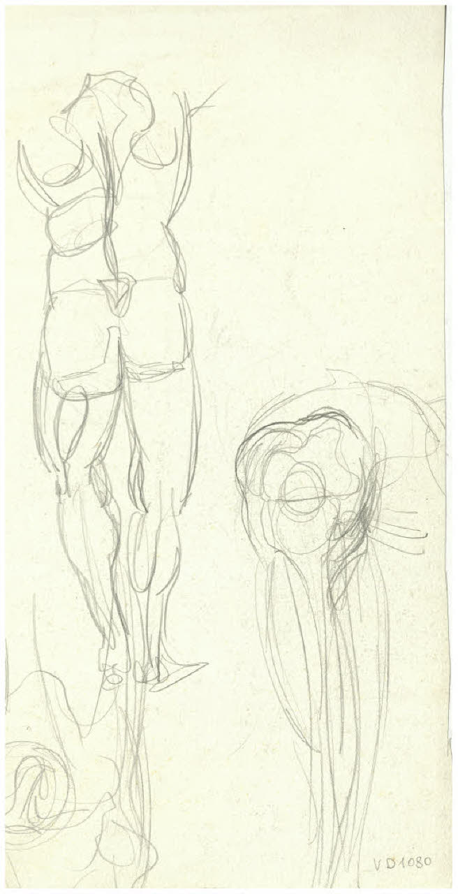 Studi di nudi maschili (disegno) di Disertori, Benvenuto Maria (prima metà sec. XX)