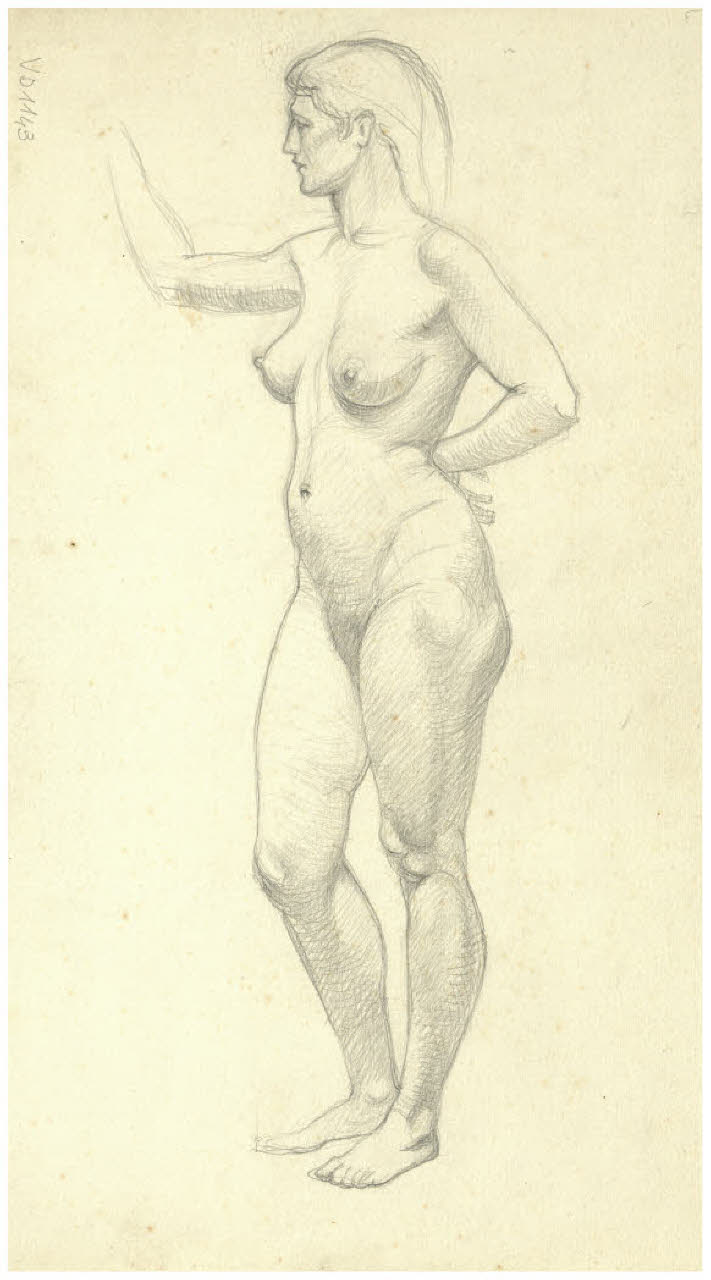 Nudo femminile (disegno) di Disertori, Benvenuto Maria (sec. XX)