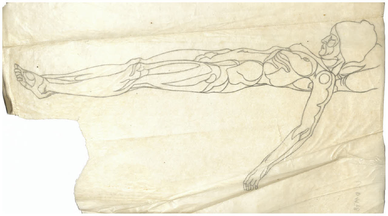 Studio di nudo femminile disteso (disegno) di Disertori, Benvenuto Maria (prima metà sec. XX)