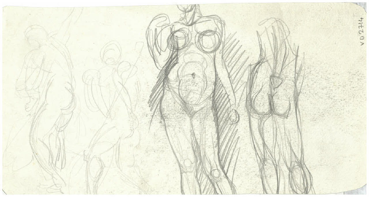 Studio di nudo (disegno) di Disertori, Benvenuto Maria (prima metà sec. XX)