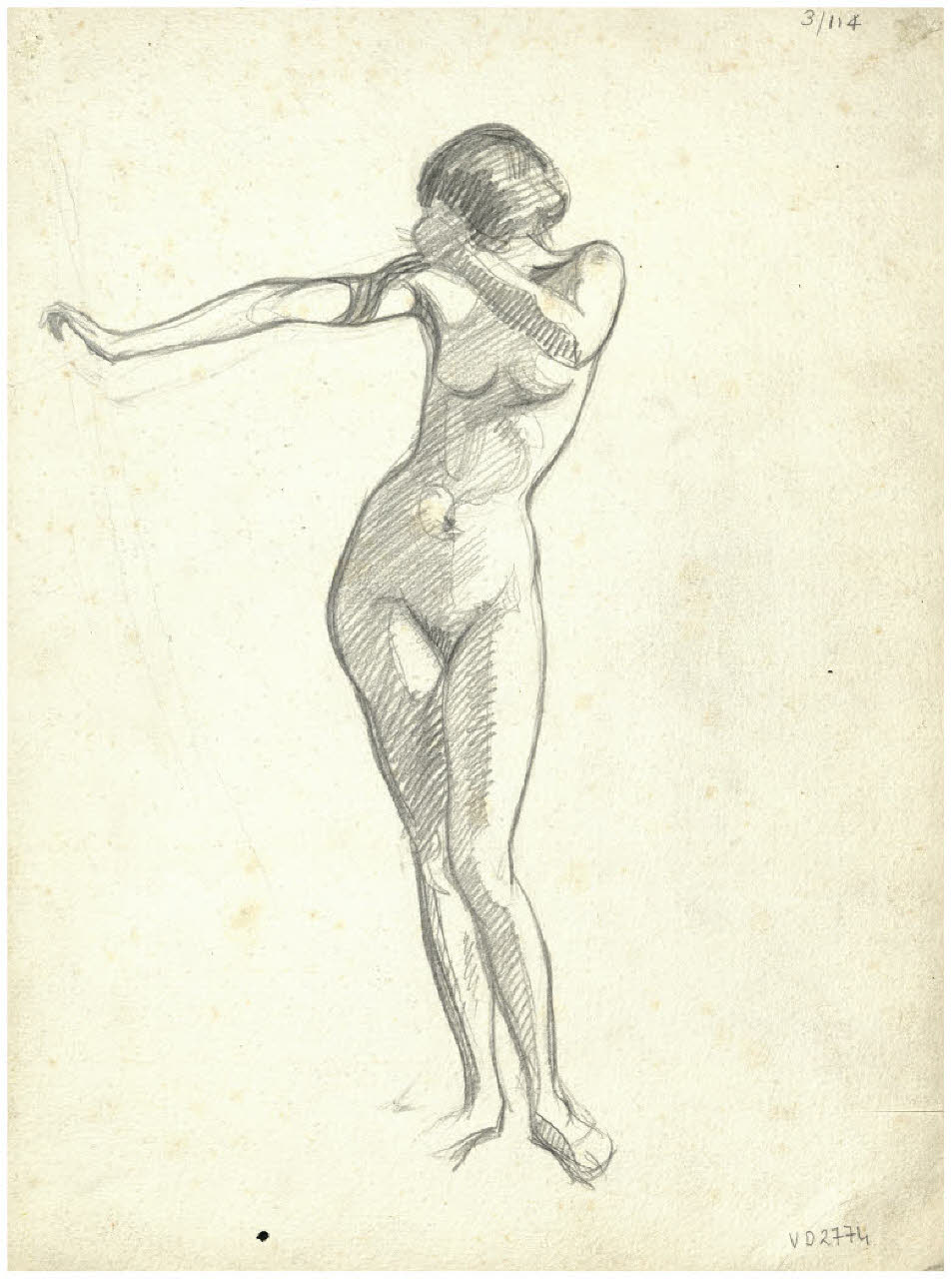 Nudo femminile (disegno) di Disertori, Benvenuto Maria (prima metà sec. XX)