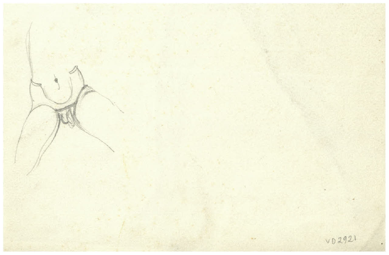 Nudo maschile (disegno) di Disertori, Benvenuto Maria (prima metà sec. XX)