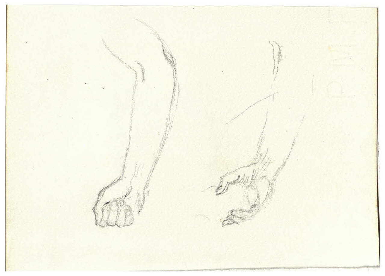 Studi di braccia (disegno) di Disertori, Benvenuto Maria (prima metà sec. XX)