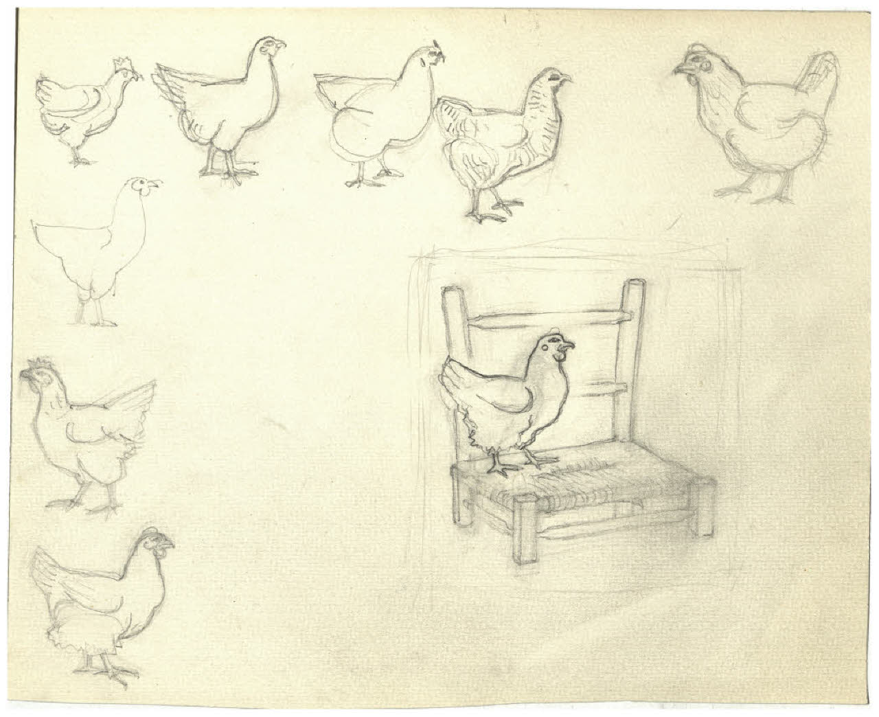 Studi di galline (disegno) di Disertori, Benvenuto Maria (prima metà sec. XX)
