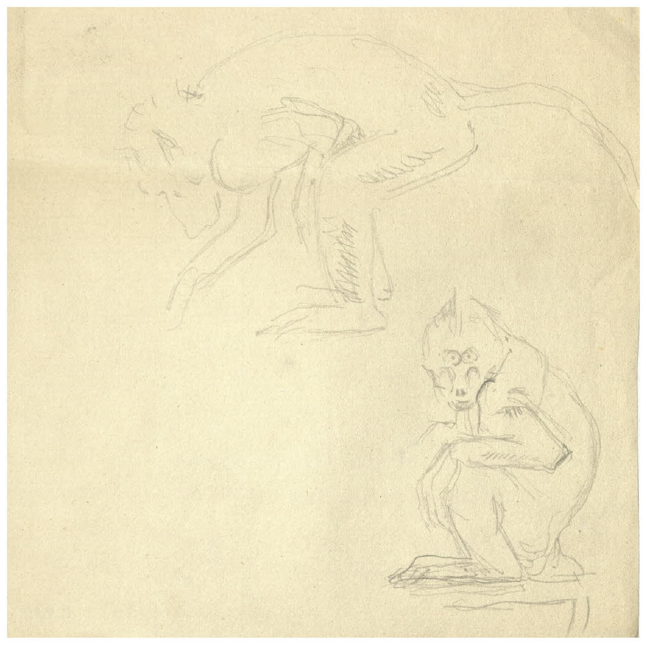 Studi di scimmie (disegno) di Disertori, Benvenuto Maria (prima metà sec. XX)