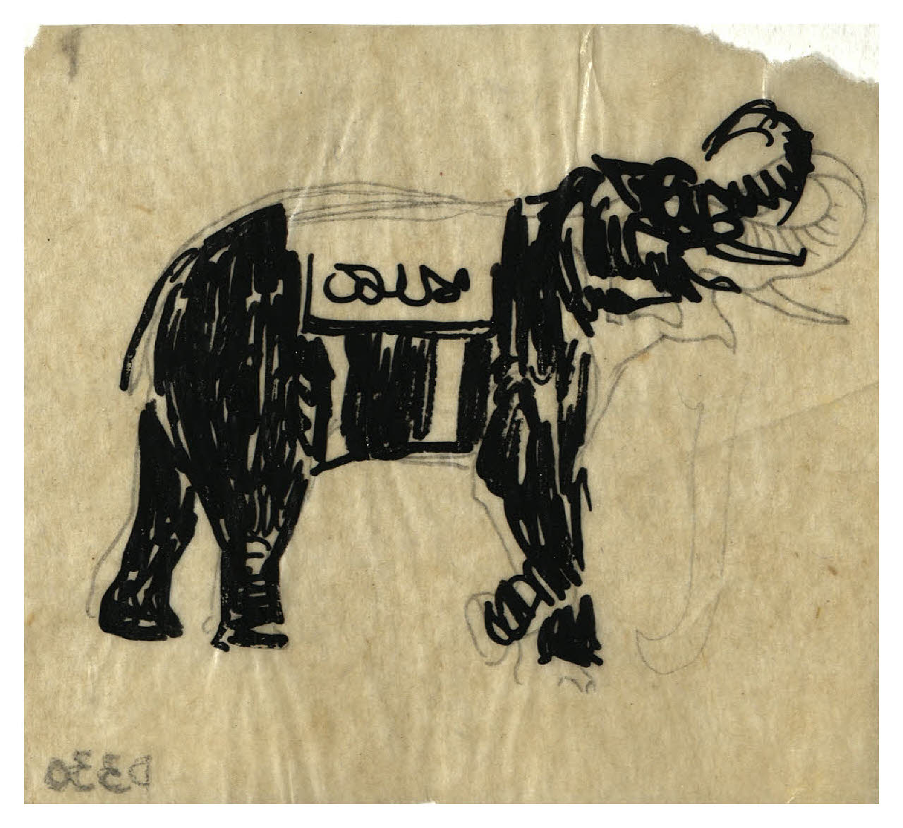 Elefante (disegno) di Disertori, Benvenuto Maria (prima metà sec. XX)
