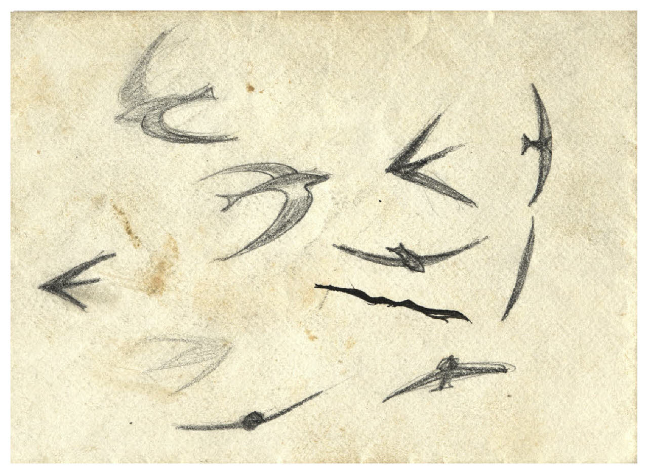 Rondini in volo (disegno) di Disertori, Benvenuto Maria (prima metà sec. XX)