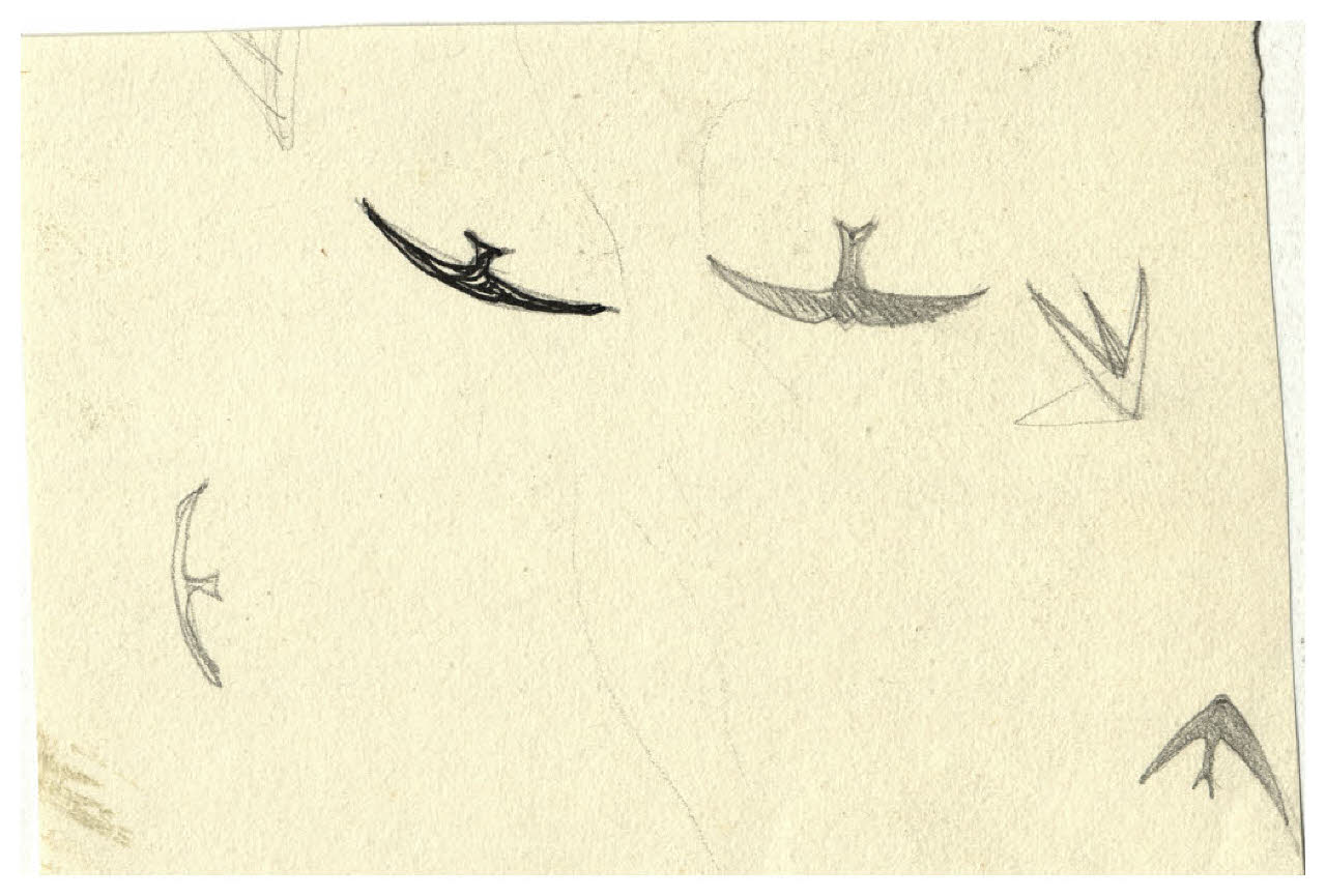 Rondini in volo (disegno) di Disertori, Benvenuto Maria (prima metà sec. XX)