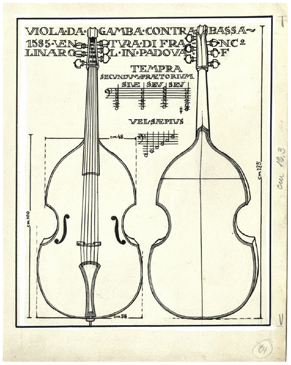 Strumenti musicali - Viola da gamba contrabassa 1585 Ventura di Franc.o Linarol in Padova f. Studio per illustrazione (disegno) di Disertori, Benvenuto Maria (prima metà sec. XX)