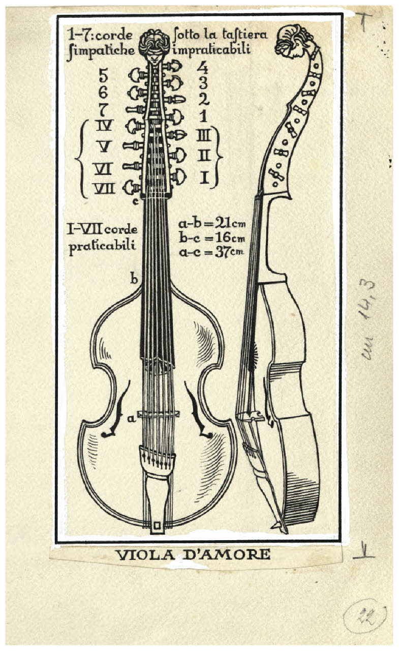 Strumenti musicali - Viola d'amore. Studio per illustrazione (disegno) di Disertori, Benvenuto Maria (prima metà sec. XX)