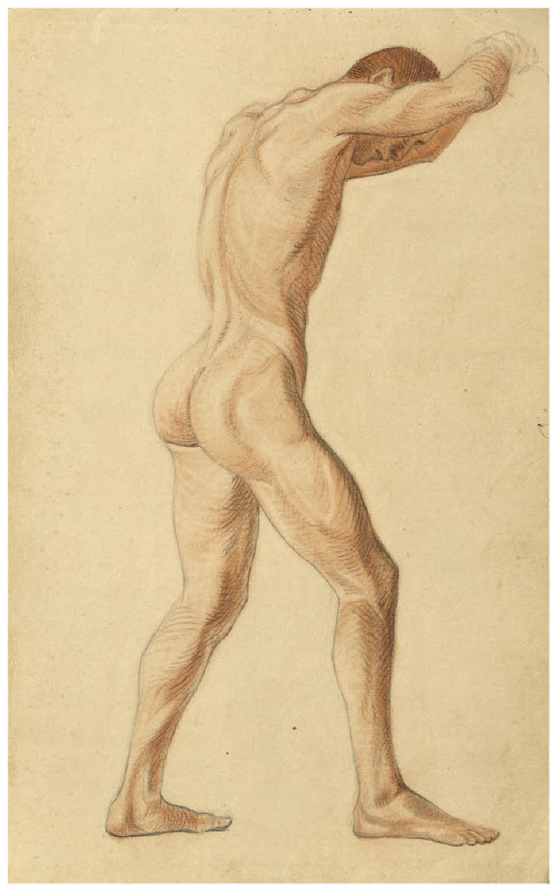 Nudo maschile (disegno) di Disertori, Benvenuto Maria (prima metà sec. XX)