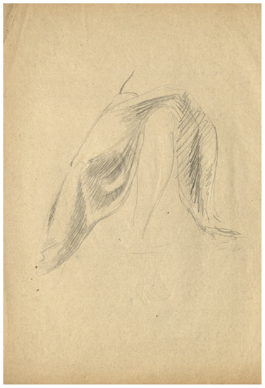 Studio di panneggio (disegno) di Disertori, Benvenuto Maria (prima metà sec. XX)