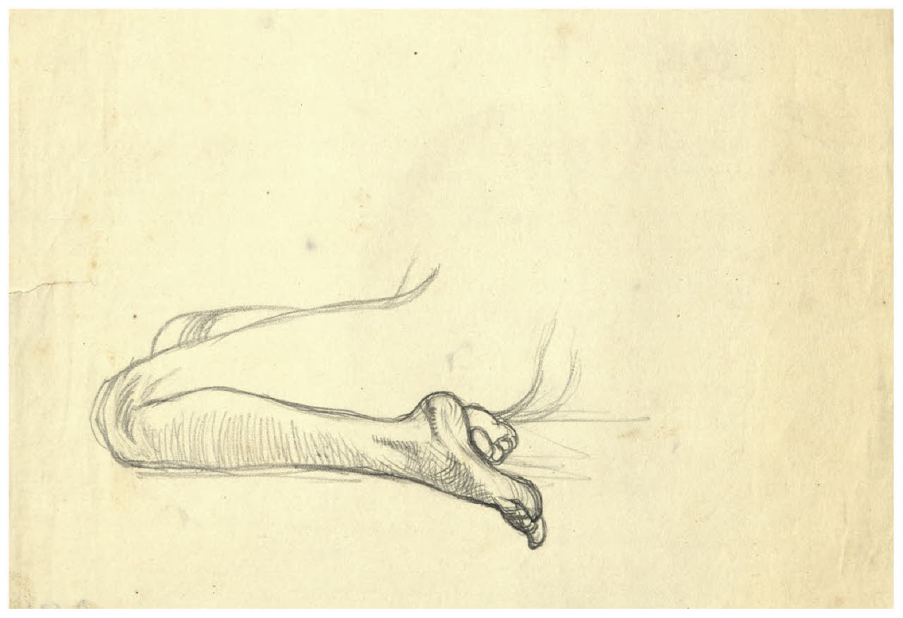 Studio di gambe femminili (disegno) di Disertori, Benvenuto Maria (prima metà sec. XX)