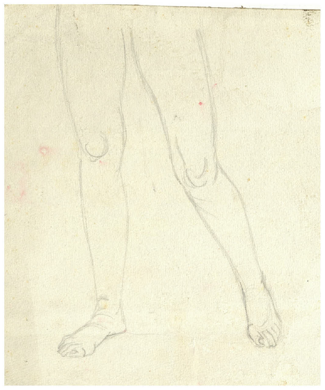 Studio di gambe femminili (disegno) di Disertori, Benvenuto Maria (prima metà sec. XX)
