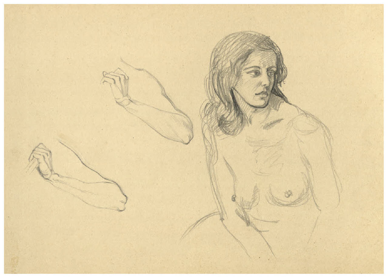 Studio di nudo femminile (disegno) di Disertori, Benvenuto Maria (prima metà sec. XX)
