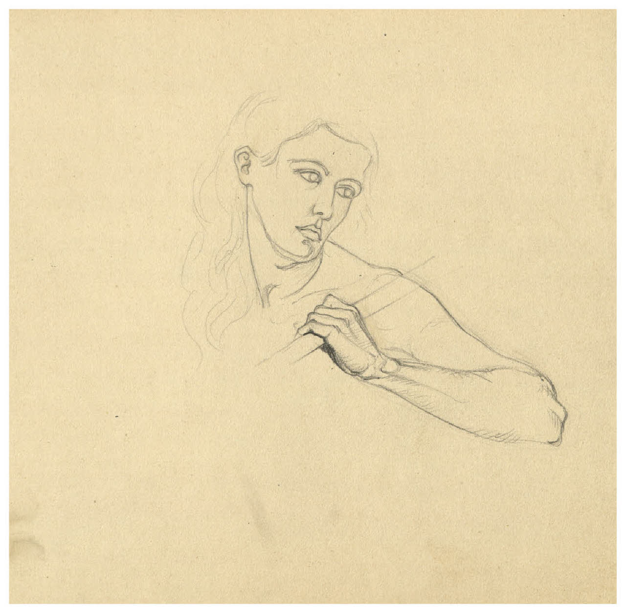 Ritratto di giovane donna (disegno) di Disertori, Benvenuto Maria (prima metà sec. XX)