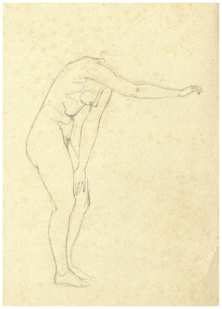 Nudo femminile (disegno) di Disertori, Benvenuto Maria (prima metà sec. XX)