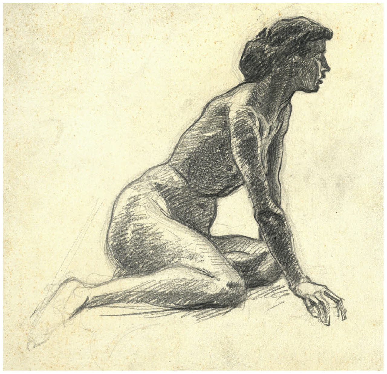 Nudo femminile (disegno) di Disertori, Benvenuto Maria (prima metà sec. XX)