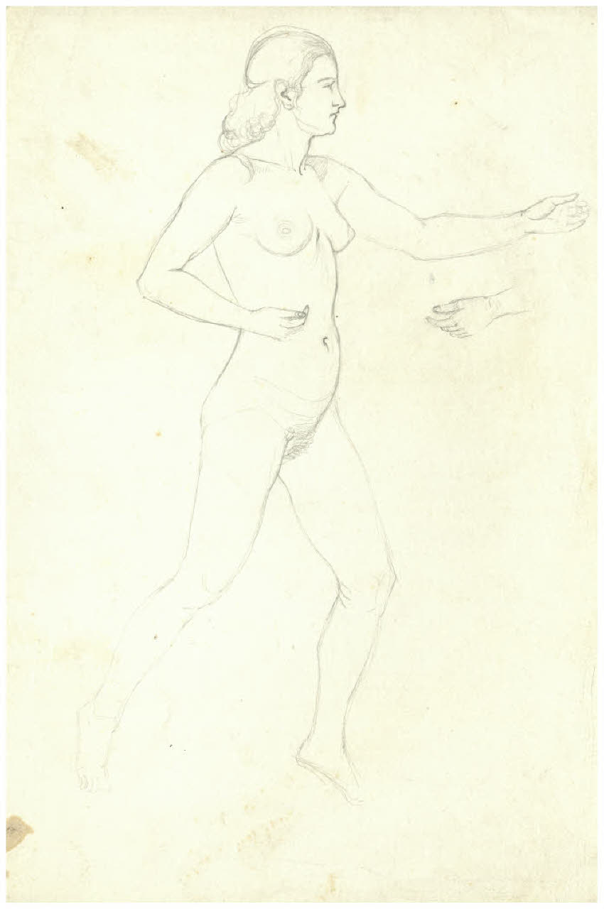 Nudo femminile (disegno) di Disertori, Benvenuto Maria (sec. XX)