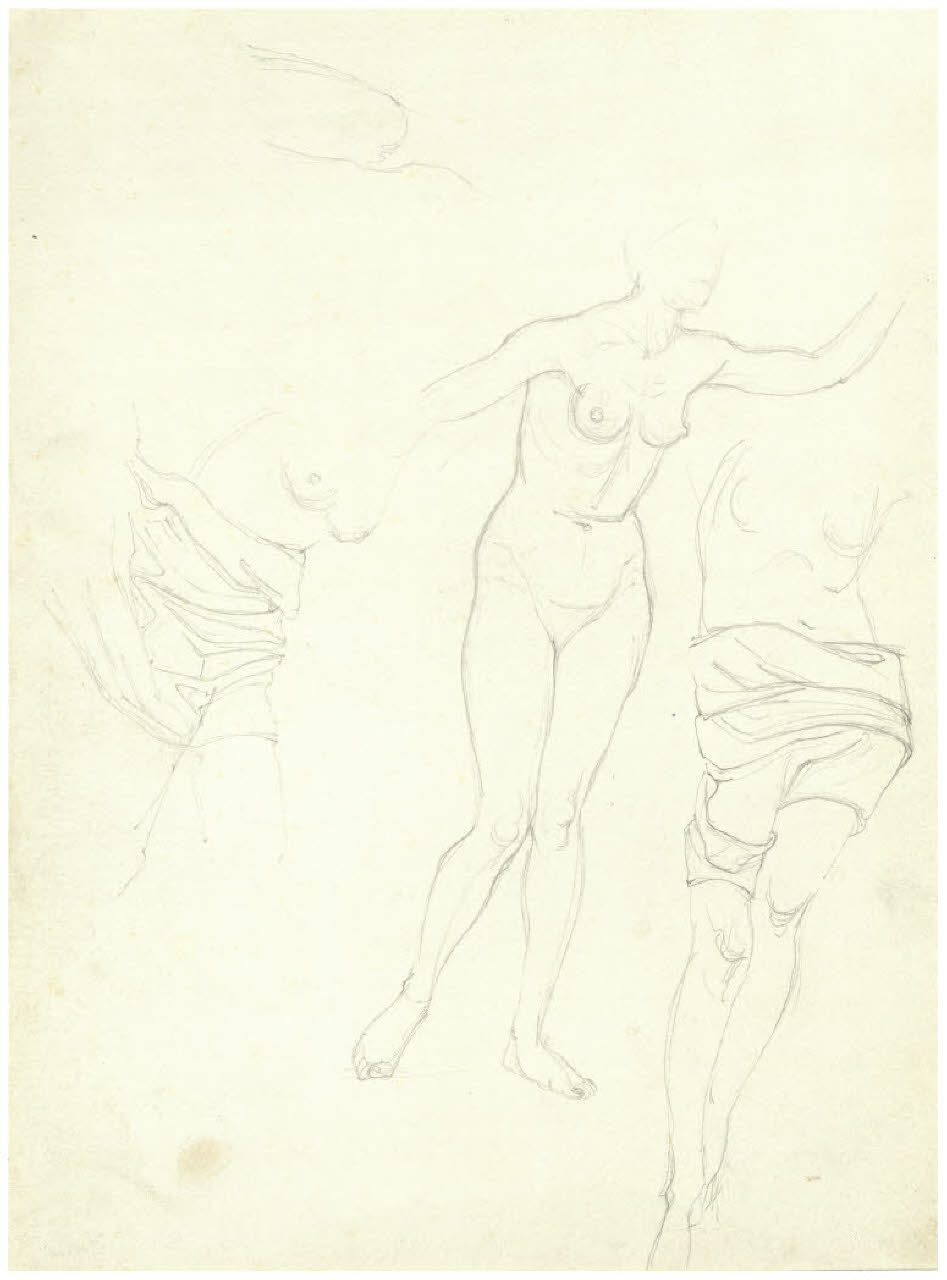 Studi di nudi femminili (disegno) di Disertori, Benvenuto Maria (prima metà sec. XX)