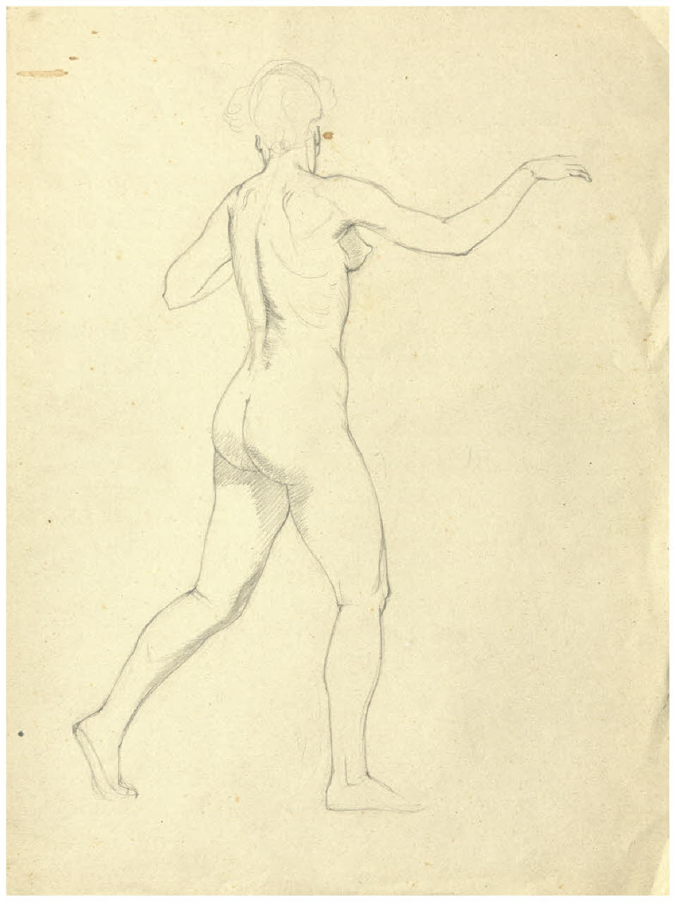 nudo femminile (disegno) di Disertori, Benvenuto Maria (sec. XX)