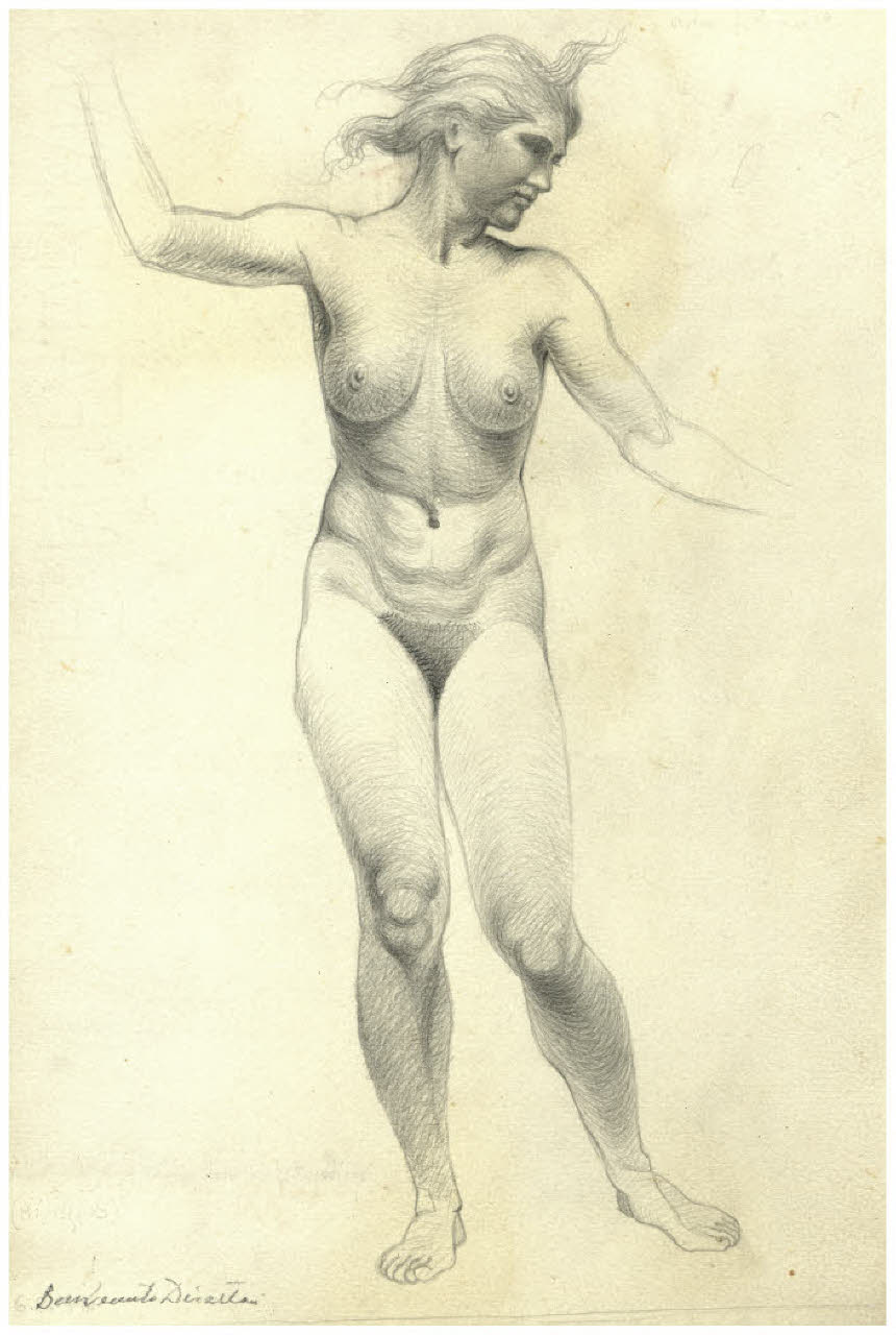 Nudo femminile (disegno) di Disertori, Benvenuto Maria (sec. XX)