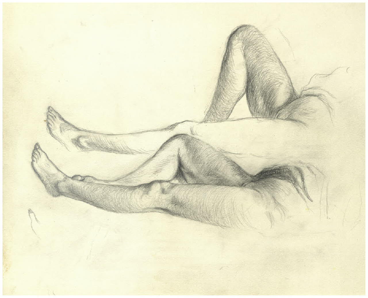 Studi di gambe femminili (disegno) di Disertori, Benvenuto Maria (prima metà sec. XX)